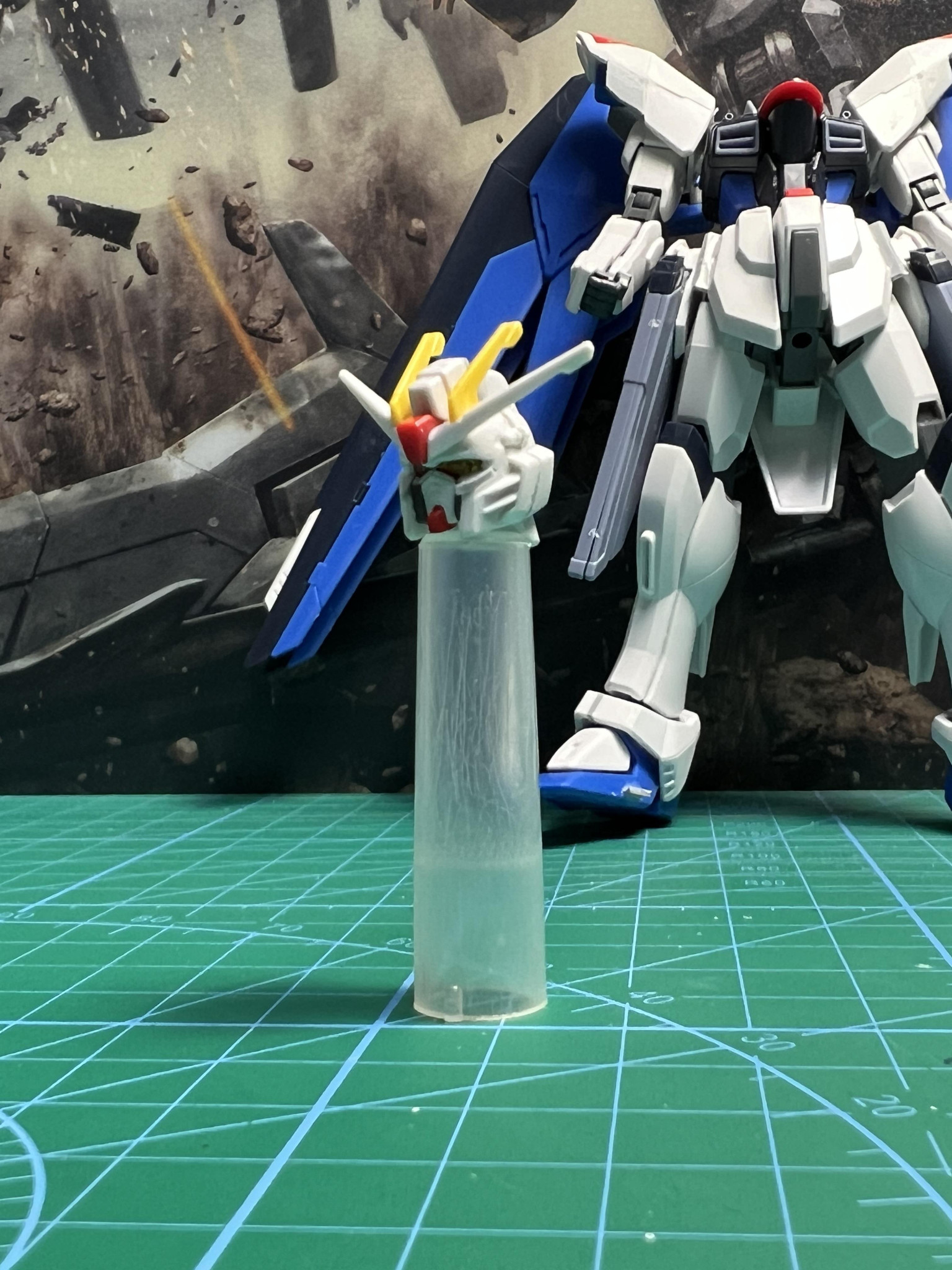 超目玉！ HG1/144フリーダムガンダムリアルタイプカラー風に塗装作品