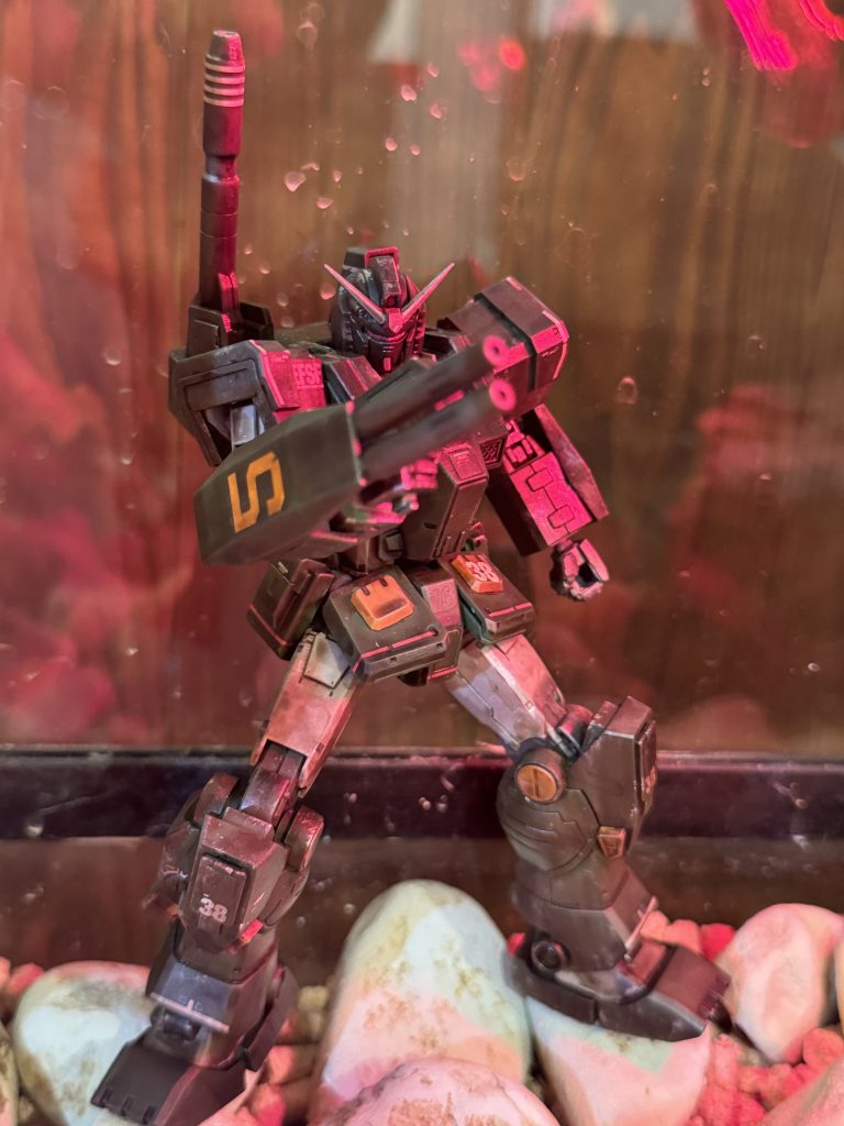 亀のケージの中で撮りました。 