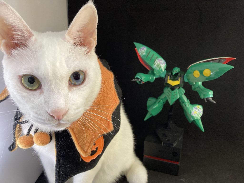 猫にキュベレイ