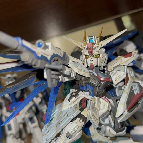 SDMGフリーダム　ウェザリング