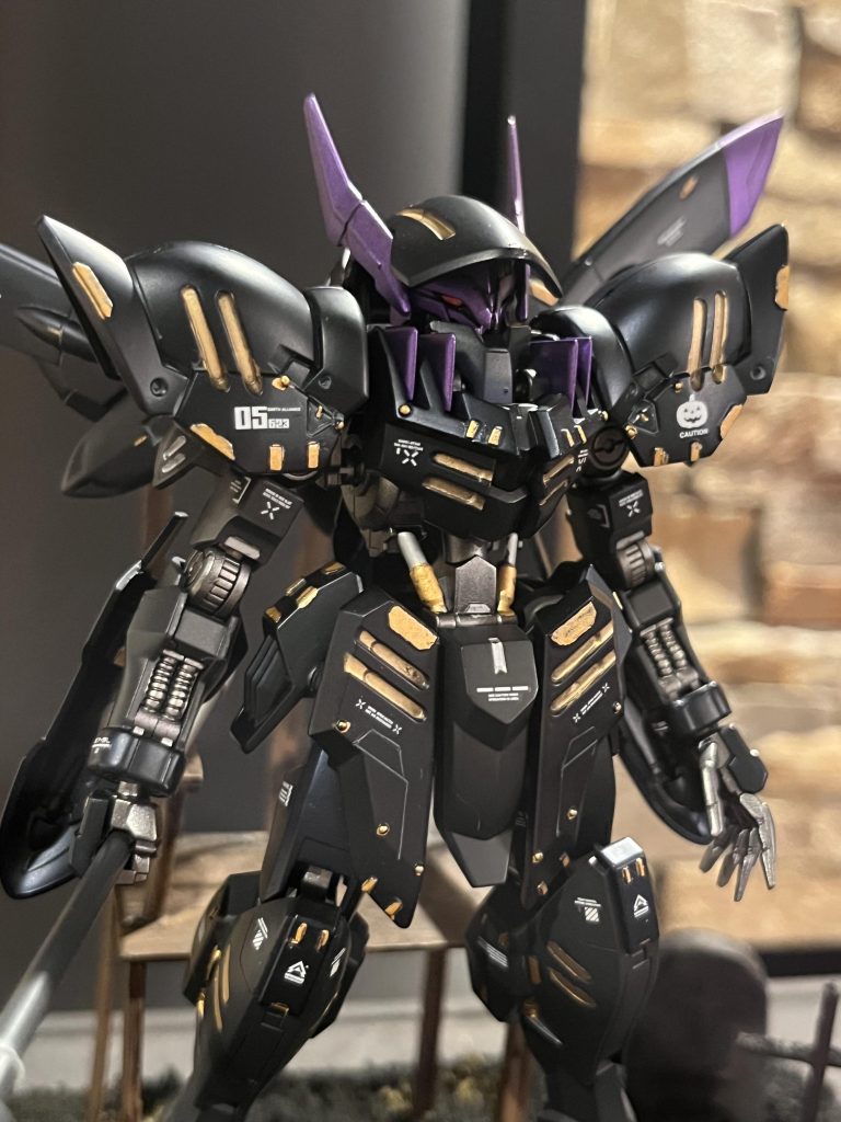 最後にアップで撮ってみました(*^▽^*)正直今回の撮影のなかで1番この写真が上手くいったと思っています(๑˃̵ᴗ˂̵)それではそろそろお別れの時間なので皆さん良いハロウィンライフを!