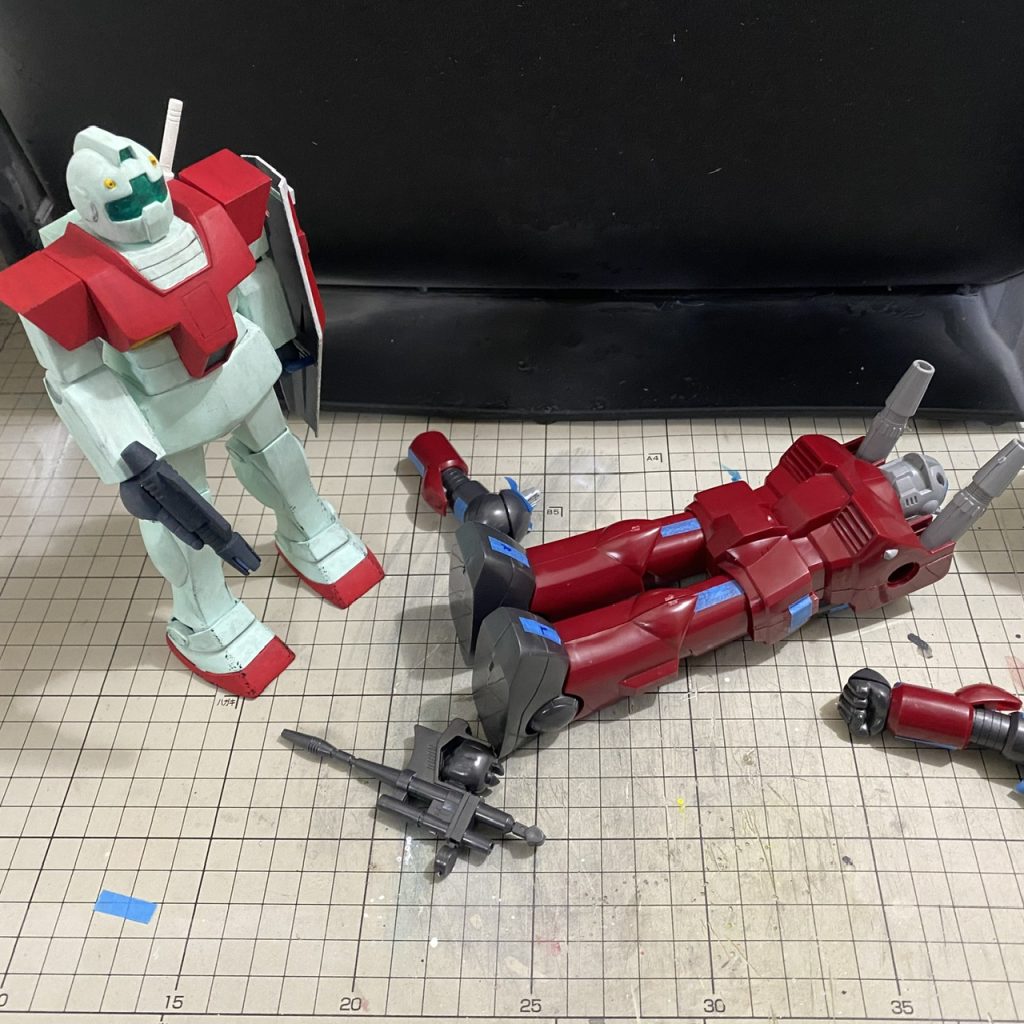 倒れてた。(帰宅後)