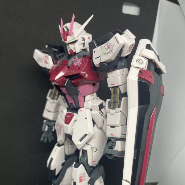 ストライクルージュオオトリ装備