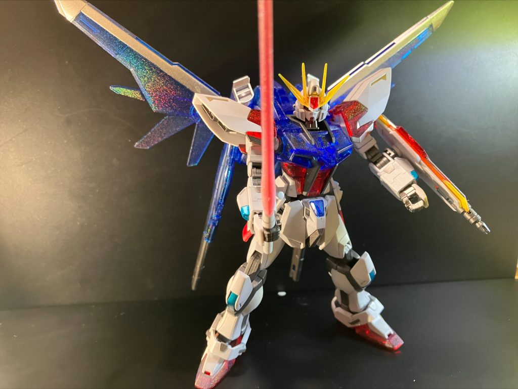 ポーズ1表面のホロが分かりやすく撮れてるカット