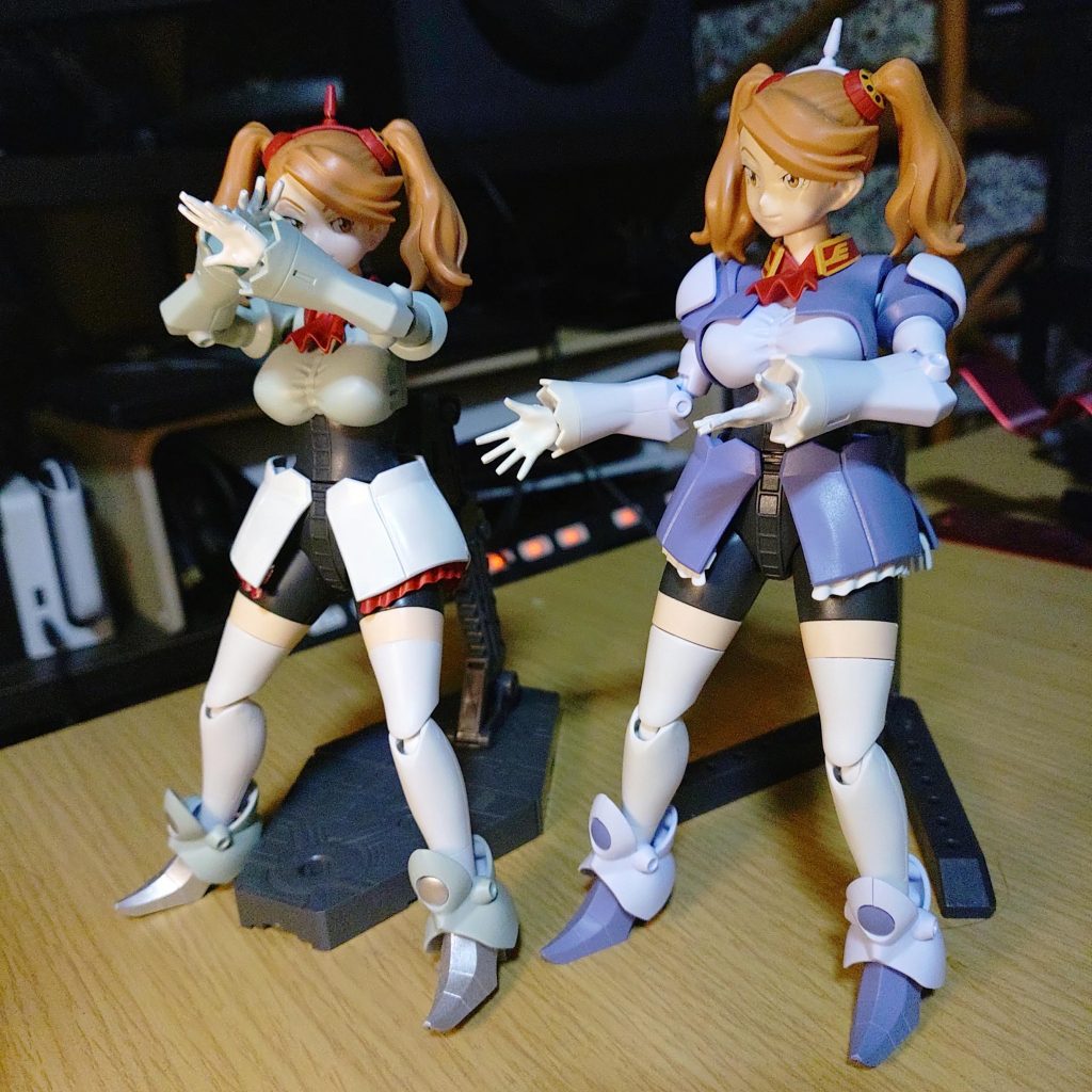 でも、どうしてもと姉妹がギャンギャン騒ぐので着せ替えました。