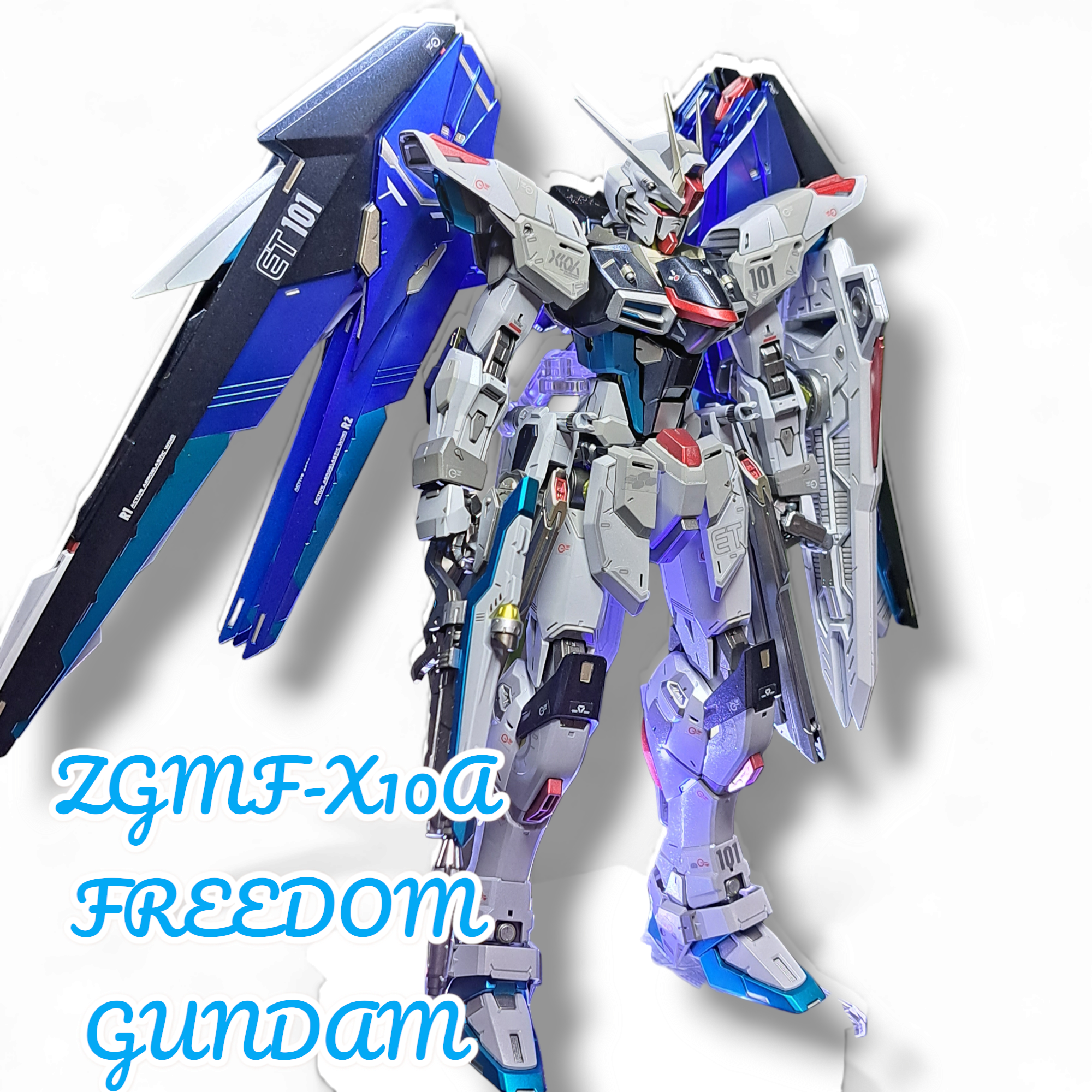 MG フリーダムガンダム Ver.2.0 + フォビドゥンガンダム-