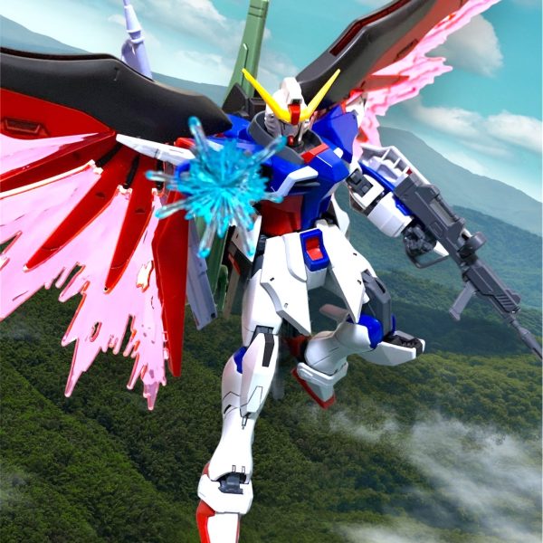 HGデスティニーガンダム