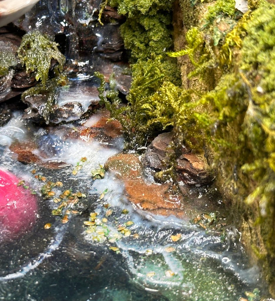 ズゴックの動きに合わせて表面の水の動きも入れ込んでゆきました。