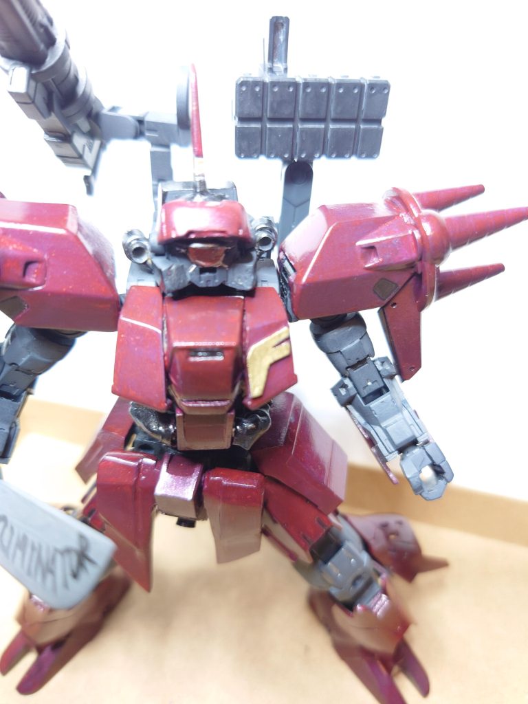 自作のフェイスマスクを外すとポルタノヴァがみえます