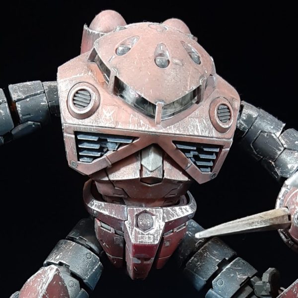 RGシャア専用ズゴック