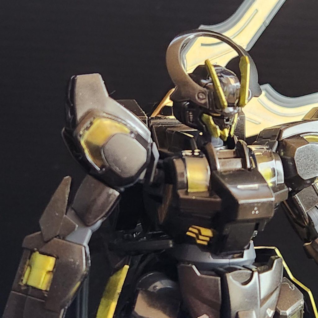 シュバルゼッテ　ハカイダー–3枚目/制作者：アイアンビリー