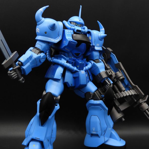 MG グフカスタム