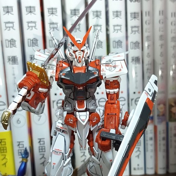 RGレッドフレーム