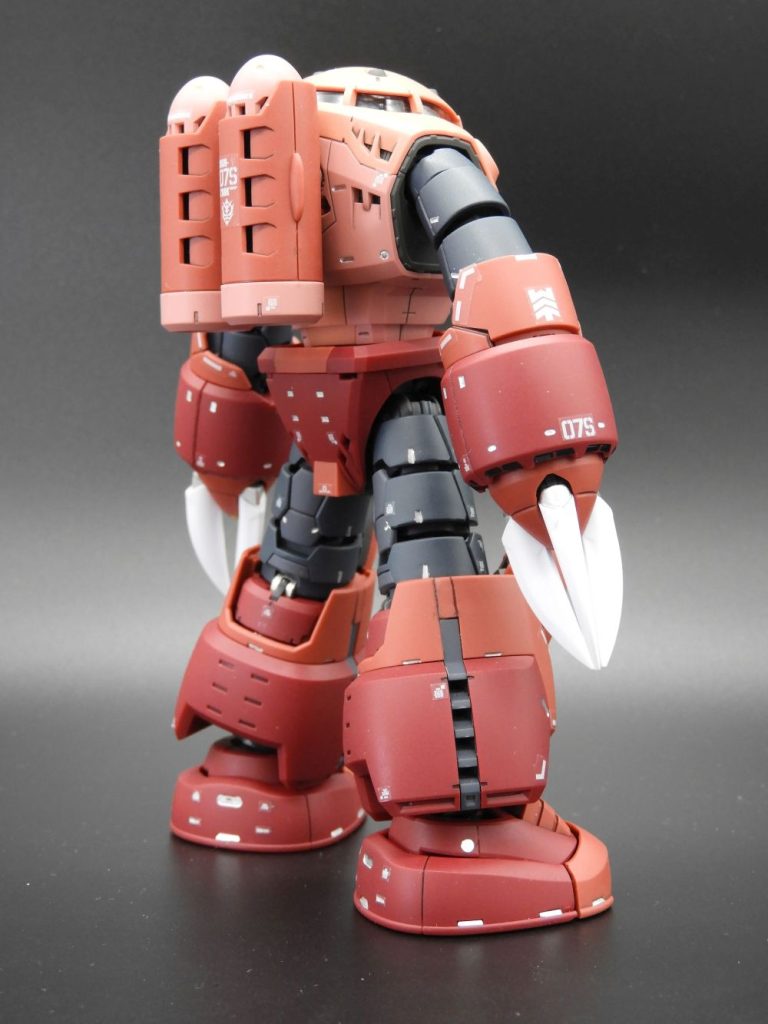 RG シャア専用ズゴック–4枚目/制作者：六剣狼