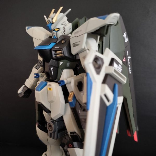 フリーダムガンダム　リアルライプカラー　