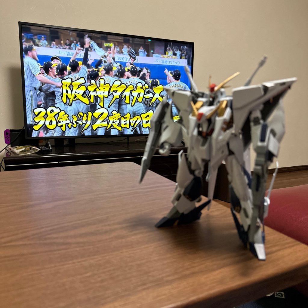 阪神タイガース日本一おめでとうございます❗️😄❗️