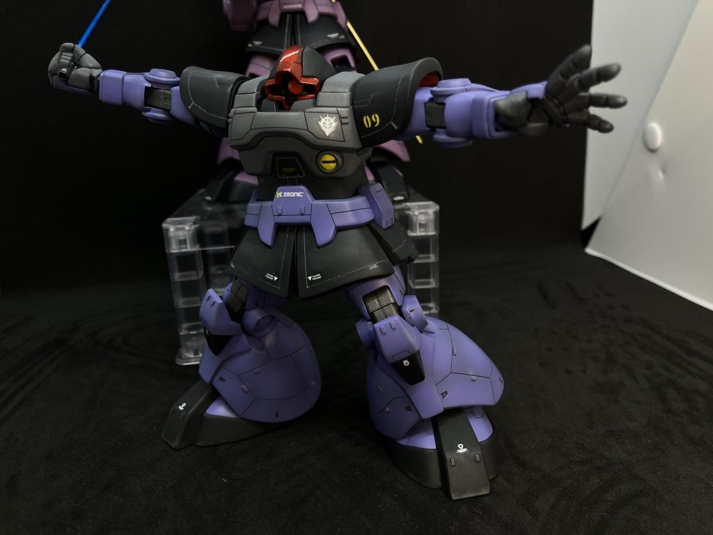 今回のドムはガイア機になるのかな？