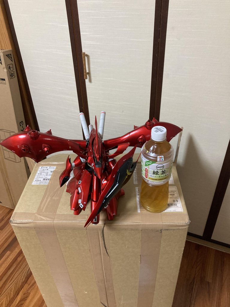 500mlのペットボトルと並べてもこの大きさw