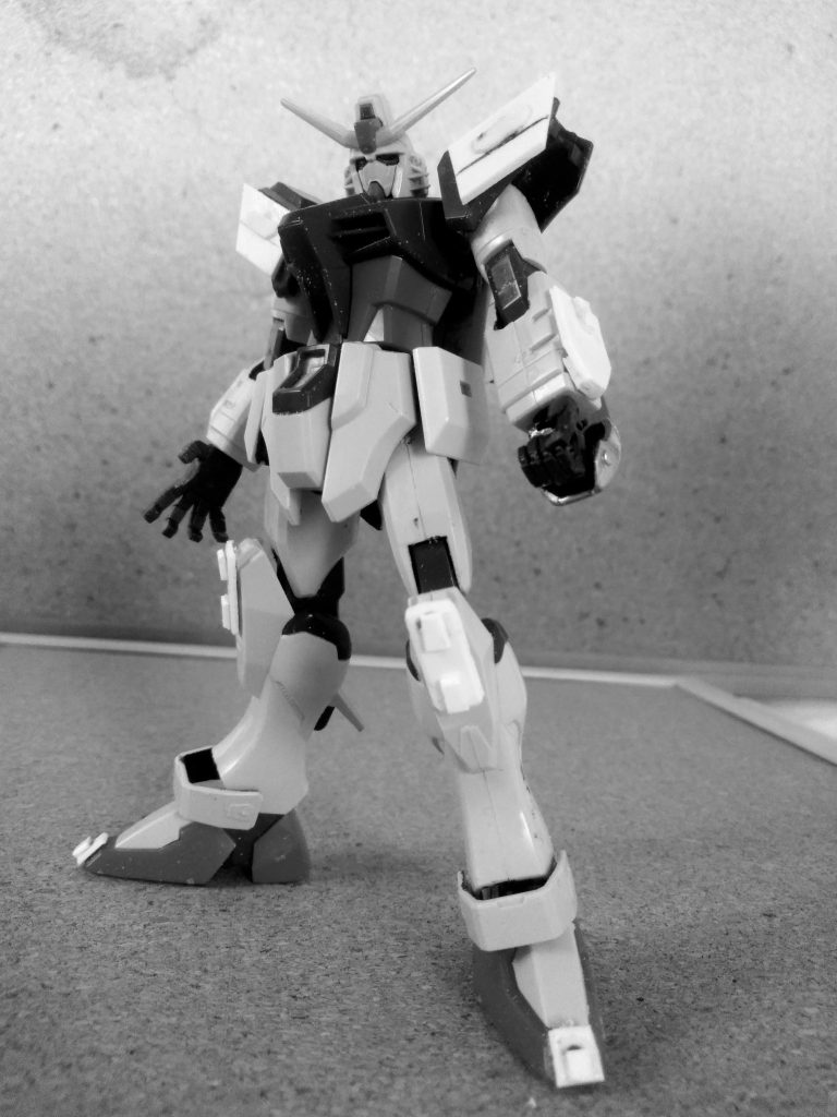 　　　　　　Next time preview              『DESTINY GUNDAM TERA  BLAST ❓』                　　　お目汚し ありがとうございました。