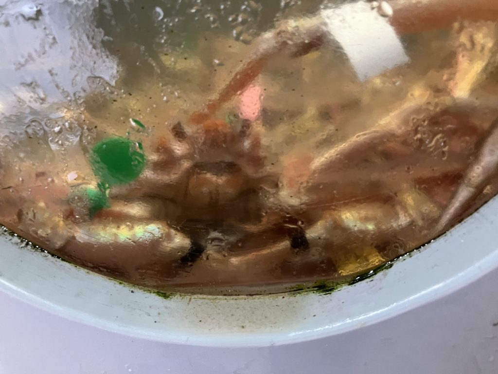 少し前にズゴックの友達に会いに行きました。今回はこれで終わります! 見てくれてありがとうーー