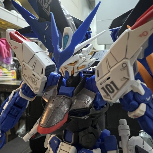 Astray blue Freedom gundam