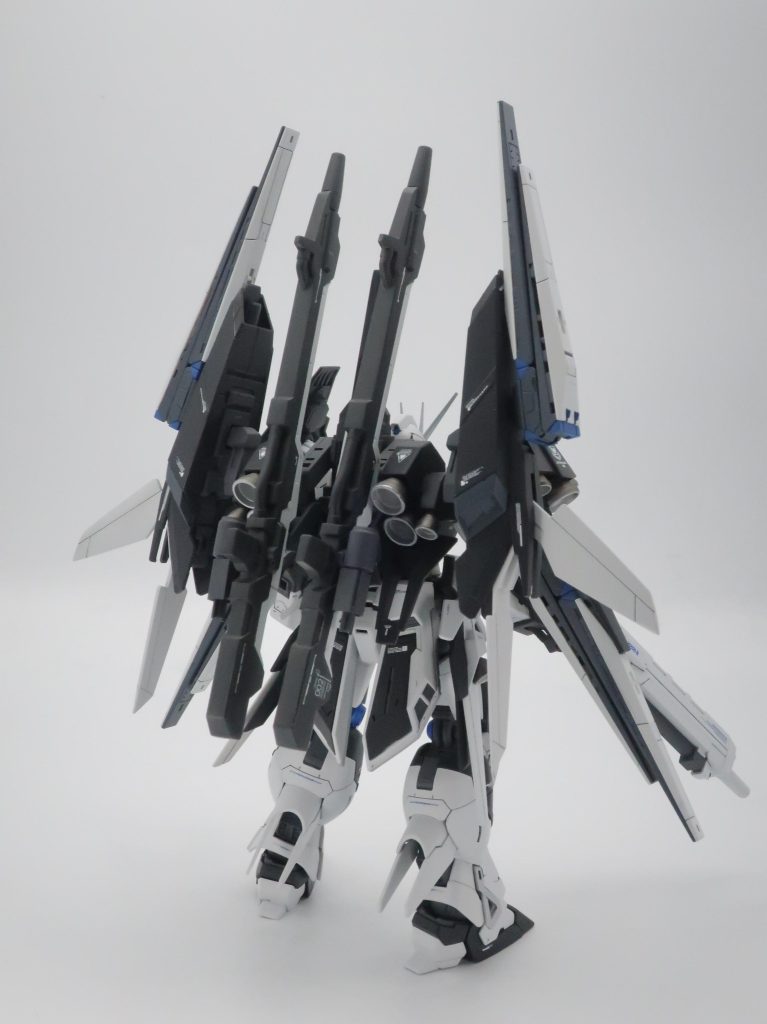 背面からの撮影。