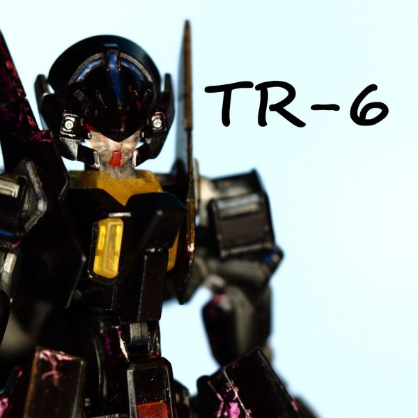 ラッピング塗装TR-6