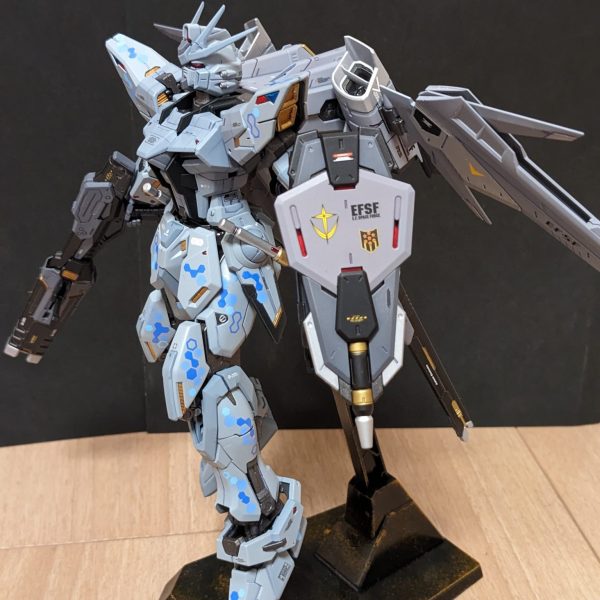 ビルドストライク・アグレッサー・フルパッケージ