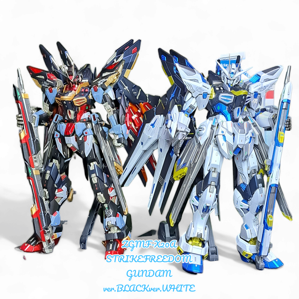 以前、製作したMGEXストフリとのツーショット📸