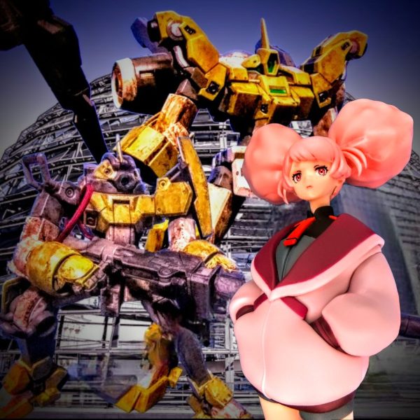 チュチュパイセンが来たぁ～っので😁　超簡単仕上げでお披露目デス😁