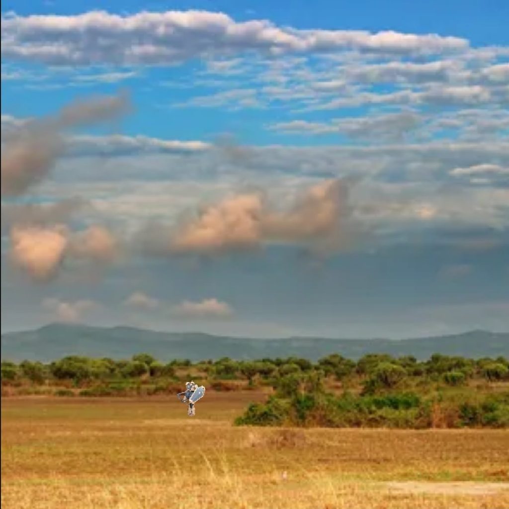 まぁまぁやな…いや、まだ迷彩のポテンシャルはこんなもんじゃない