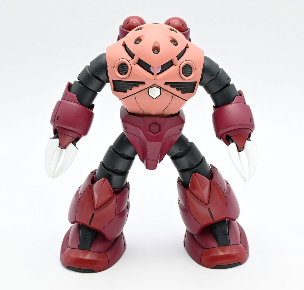 Z'GOK  かわイイっす(笑)