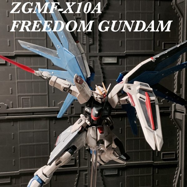 HGCE フリーダムガンダム(悪夢回イメージ)