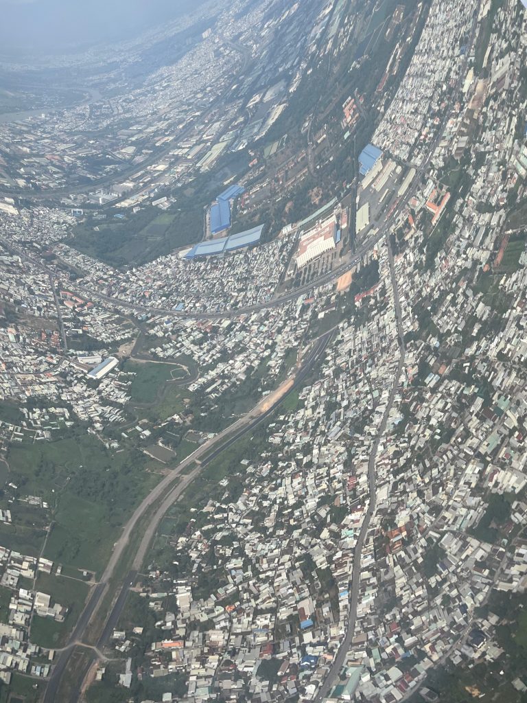 縦撮影したコロニー写真