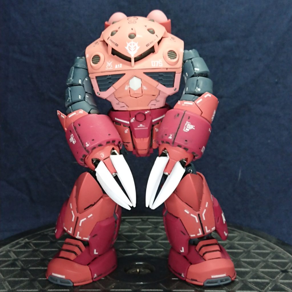 RG シャア専用ズゴック–2枚目/制作者：ＨＨ