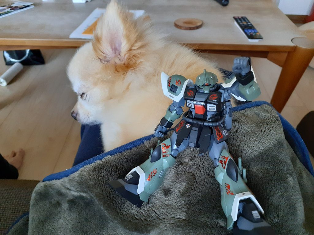 今年最後の投稿になろうかと思いますので、若干気が早いですが皆様良いお年を！！の図m(__)m