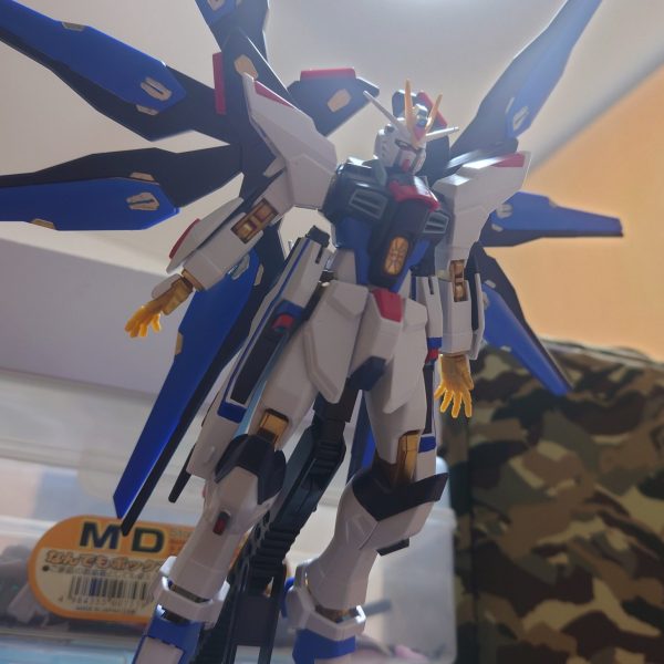 ストライクフリーダムガンダム