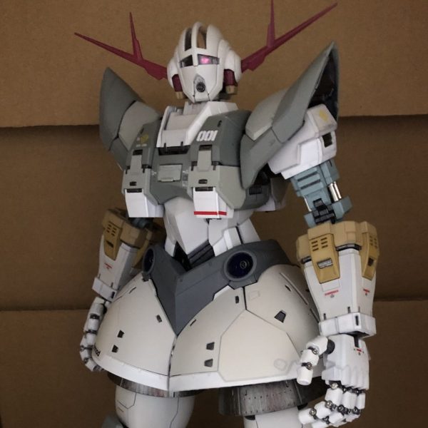 RGパーフェクトジオング試作機