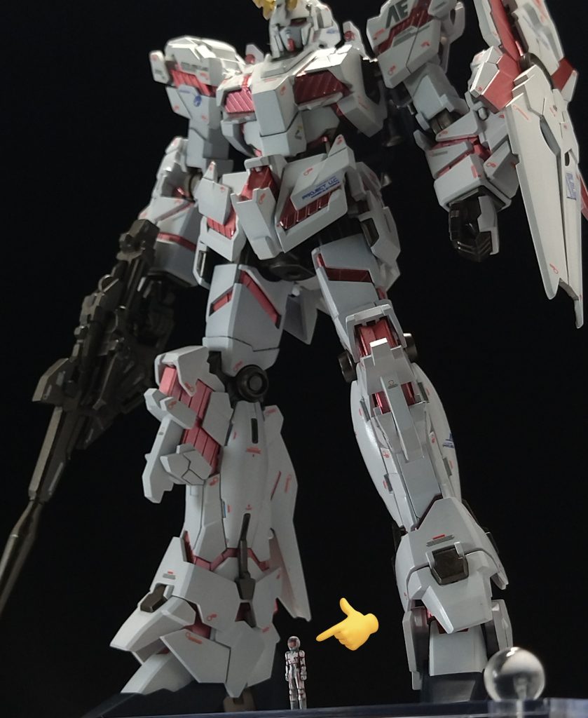 展示台もセットで📸