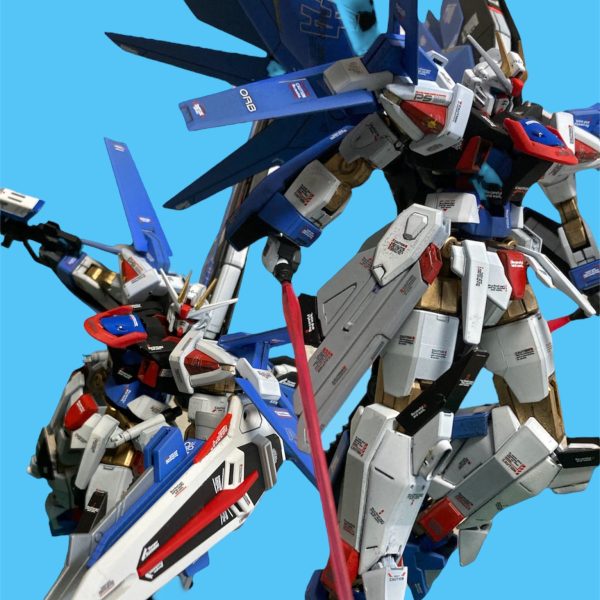 eX FREEDOM 〔エクス　フリーダム〕