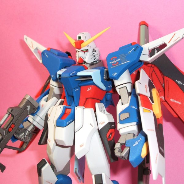 1/100　デスティニー