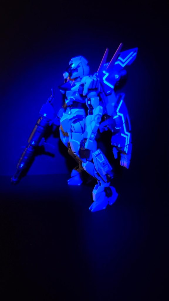 虎の手のデカールワークが気に入ってます