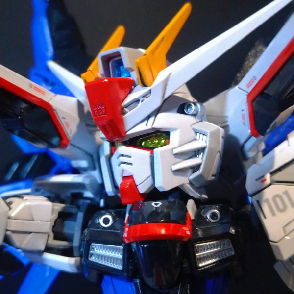 テカテカフリーダム