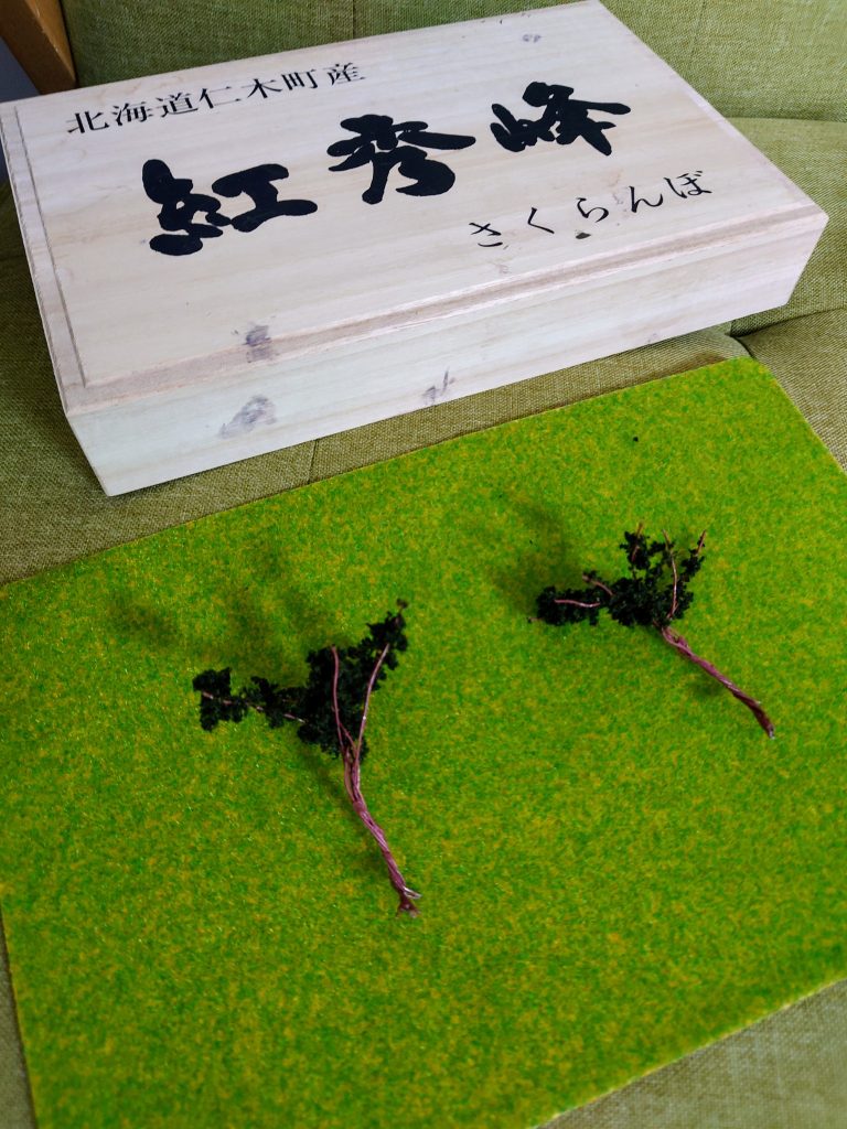 ジオラマベースは、さくらんぼが入ってた高級な木箱に、百均の芝生シートを貼り付けたお手軽仕様!GUNSTA投稿作品の中で一番クオリティ低いかも(自虐です)