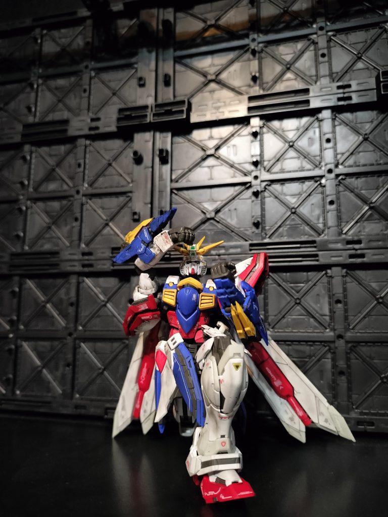 正面からも。んー…イマイチ！胴体を地面に水平に、肩は垂直に、頭を起こして…とイメージしてもここらが限界でした。