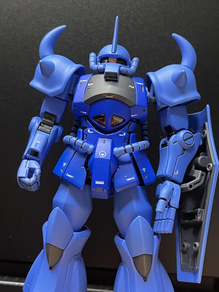 写真が難しすぎる…