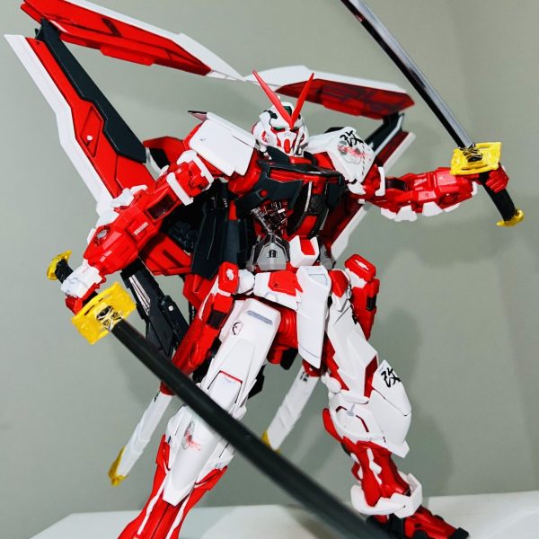 雇ってる方に頼まれました:( ;´꒳`;)レッドフレーム改