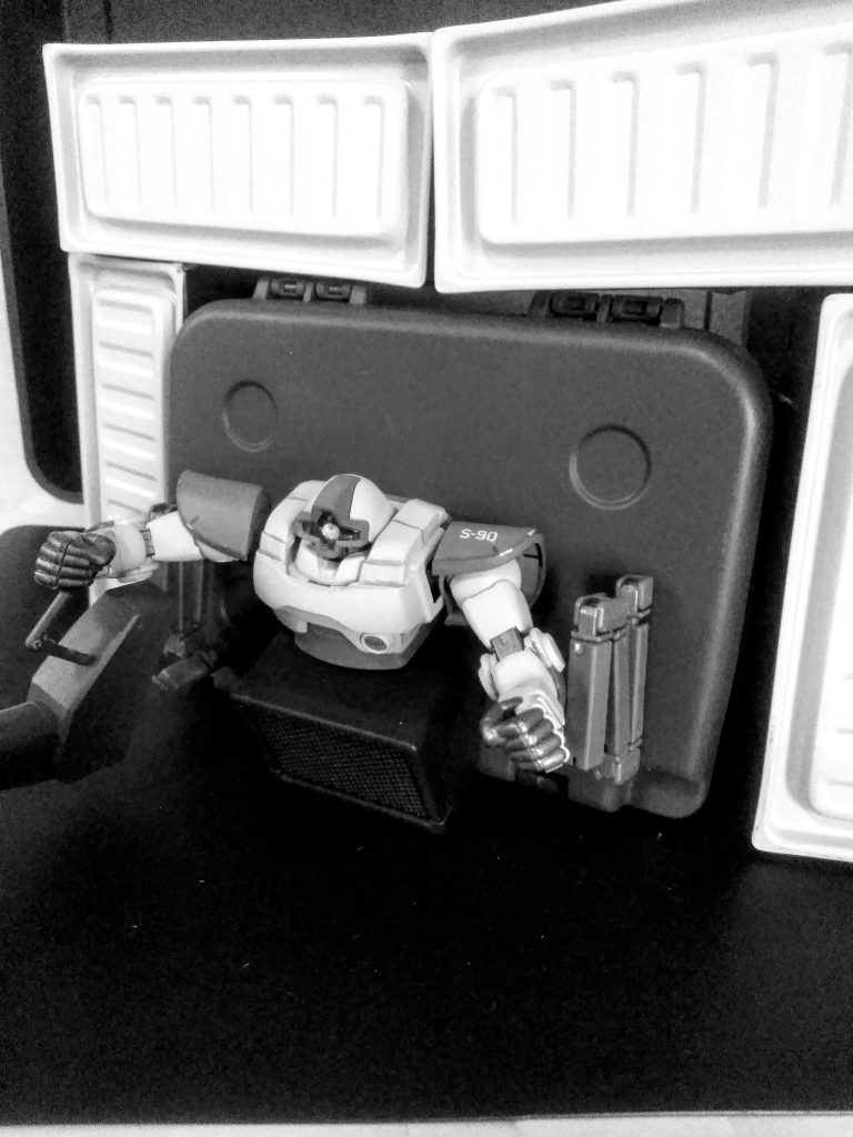 　　　　　　Next time preview                             『DOMDROBIUM❓』                   　　　お目汚し ありがとうございました。