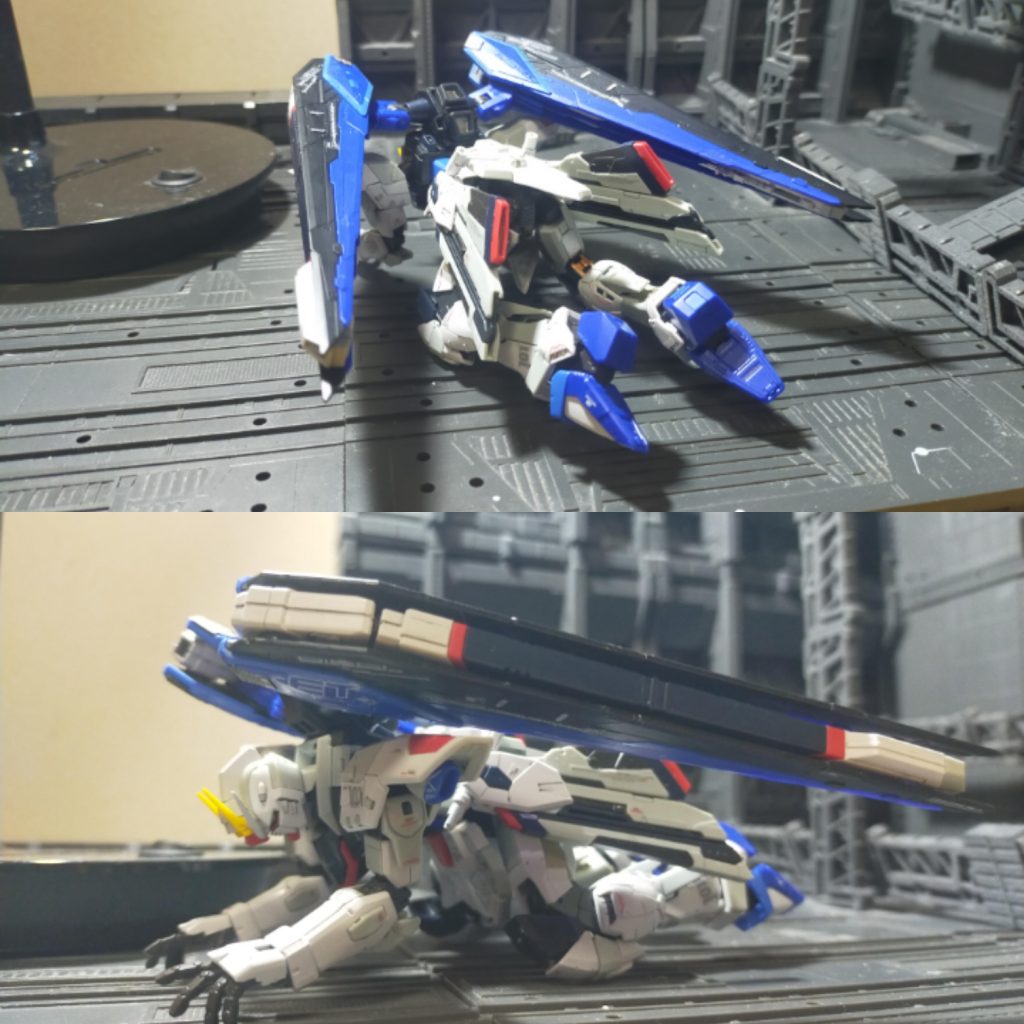 サイが無謀運転した場合