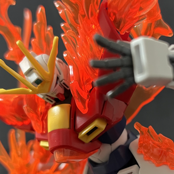 HG トライバーニング